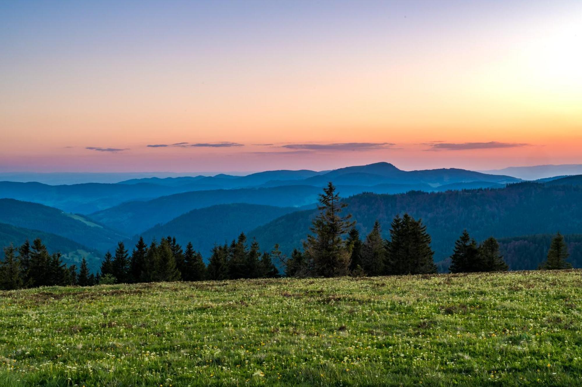 شقة Residenz Grafenmatt "Abendsonne", Feldberg Rinken المظهر الخارجي الصورة
